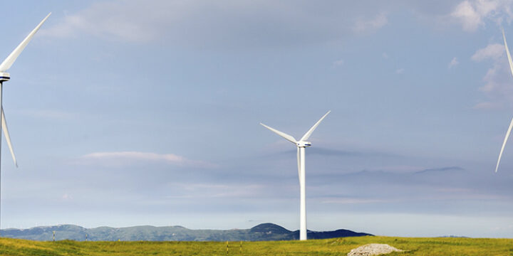 Il Green Deal è una strategia per raggiungere la neutralità climatica per il 2050 attraverso misure volte al sostegno economico ed ambientale: può rappresentare un'opportunità per le aziende toscane